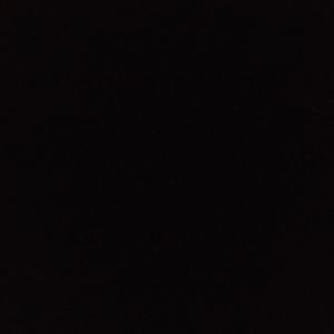 Meet your Posher, Lizzie